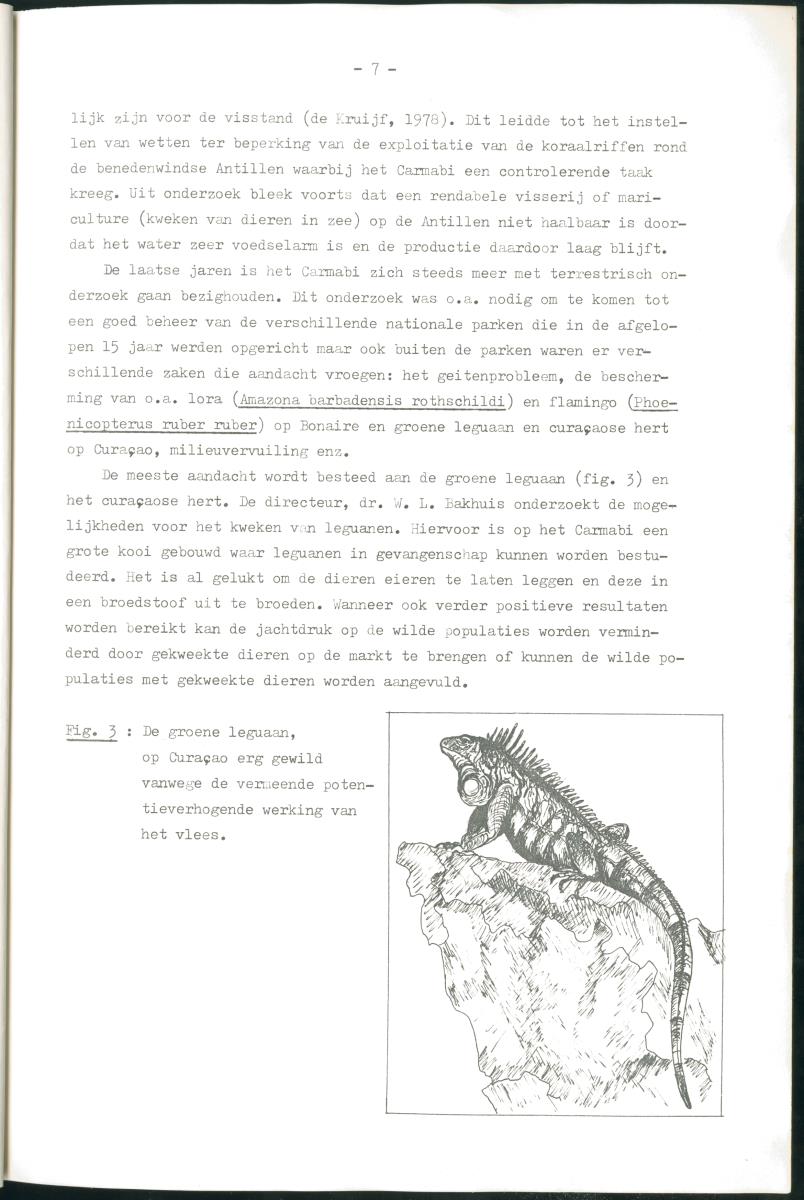 Z Verslag van een stage bij het Carmabi op Curaçao - met onder andere een Inventory report van het Curaçaos hert op Malpais. - New Page