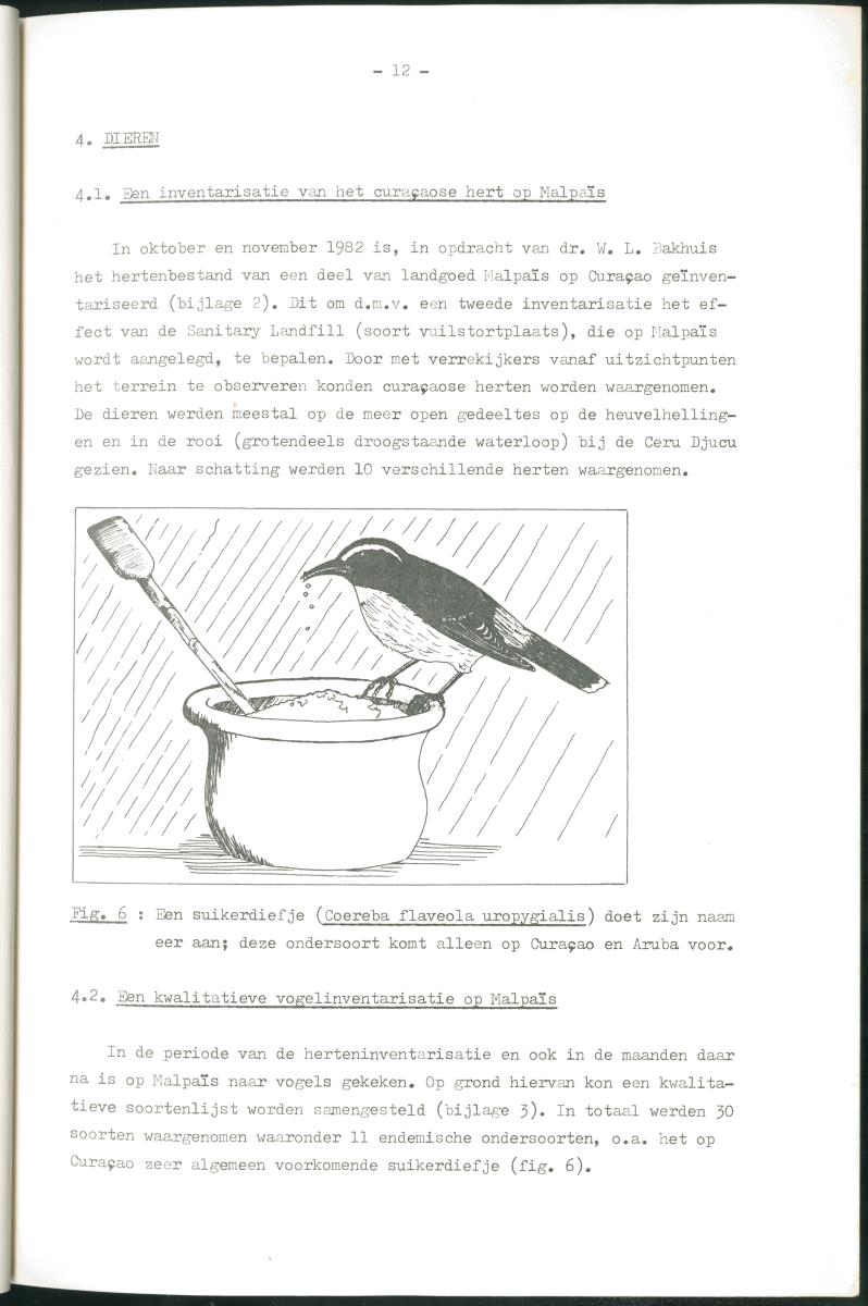 Z Verslag van een stage bij het Carmabi op Curaçao - met onder andere een Inventory report van het Curaçaos hert op Malpais. - New Page
