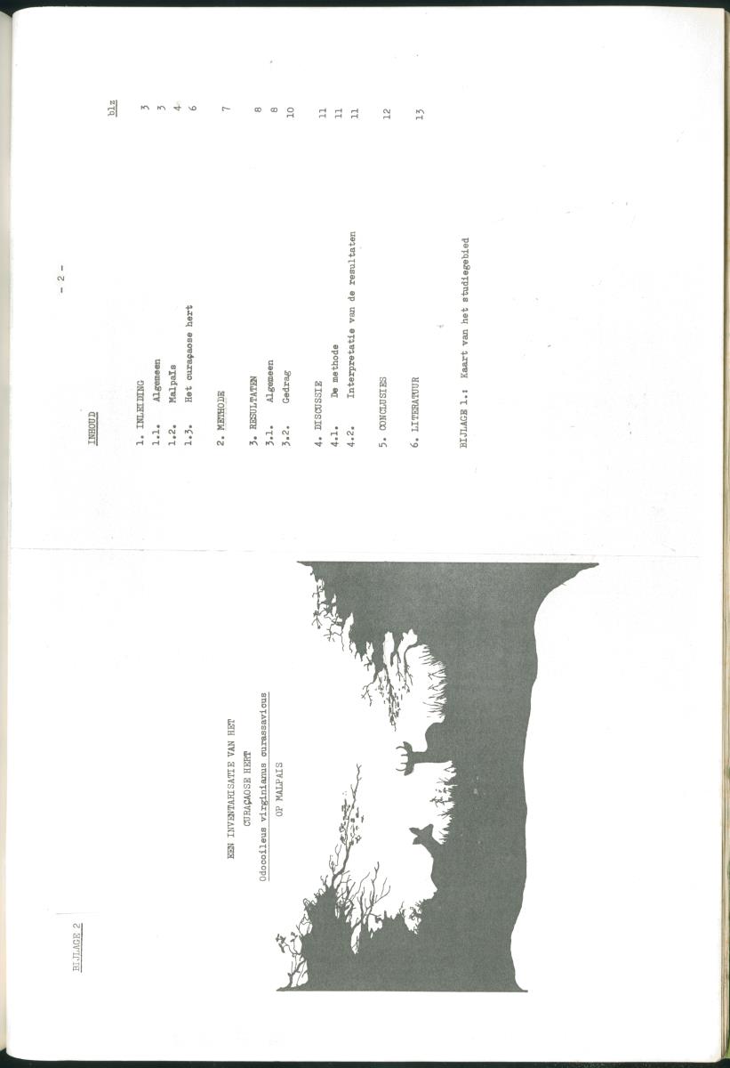 Z Verslag van een stage bij het Carmabi op Curaçao - met onder andere een Inventory report van het Curaçaos hert op Malpais. - New Page