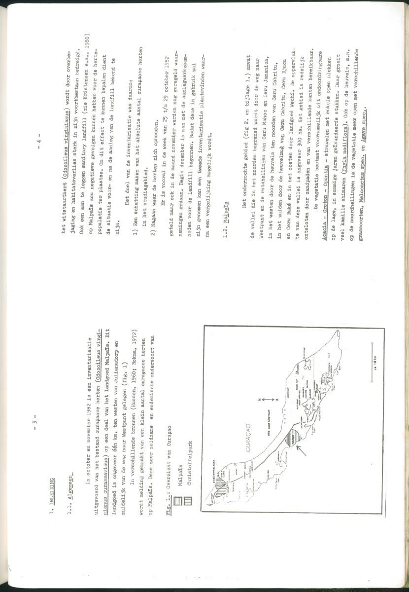 Z Verslag van een stage bij het Carmabi op Curaçao - met onder andere een Inventory report van het Curaçaos hert op Malpais. - New Page