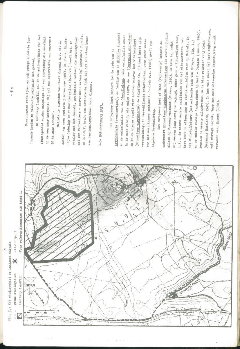 Z Verslag van een stage bij het Carmabi op Curaçao - met onder andere een Inventory report van het Curaçaos hert op Malpais. - New Page