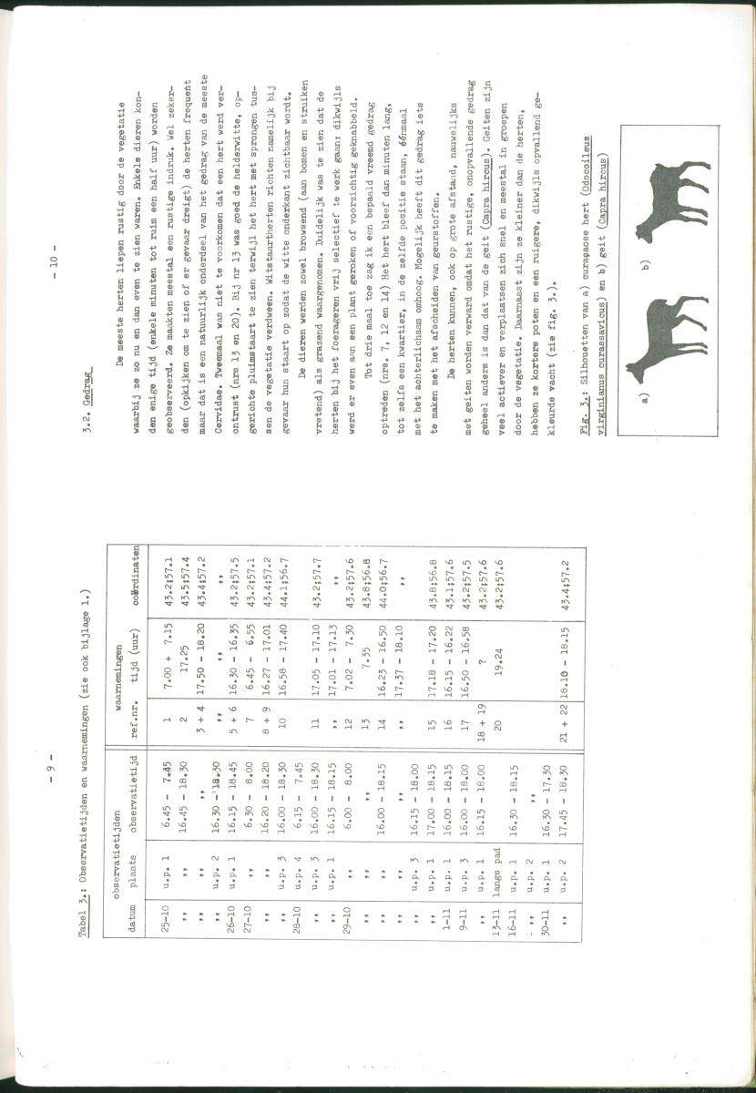 Z Verslag van een stage bij het Carmabi op Curaçao - met onder andere een Inventory report van het Curaçaos hert op Malpais. - New Page