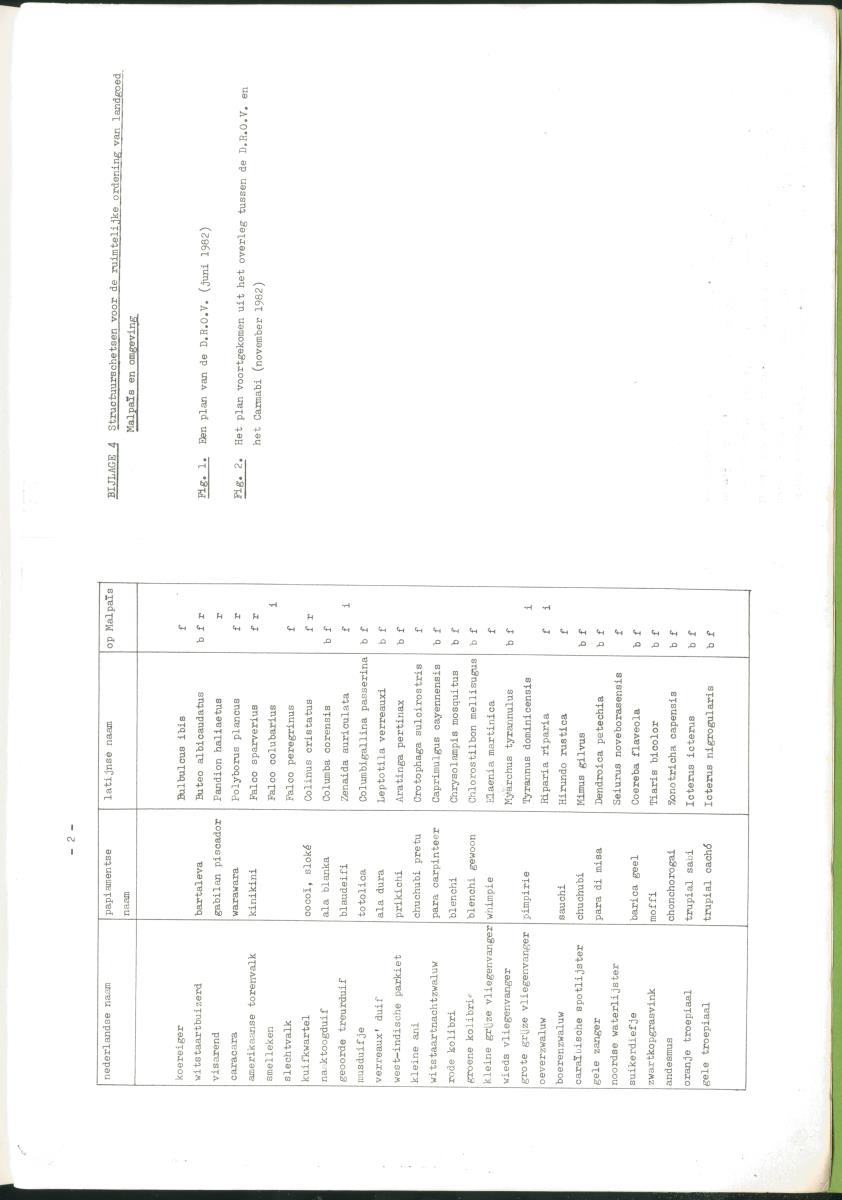 Z Verslag van een stage bij het Carmabi op Curaçao - met onder andere een Inventory report van het Curaçaos hert op Malpais. - New Page