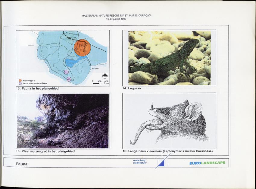 Z Masterplan - Nature Resort Rif St. Marie, Curacao - New Page