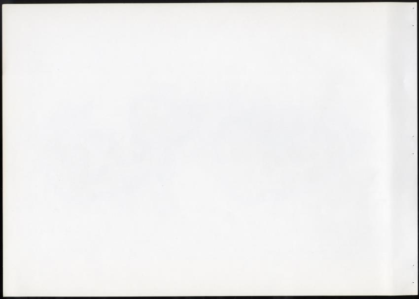 Z Masterplan - Nature Resort Rif St. Marie, Curacao - New Page