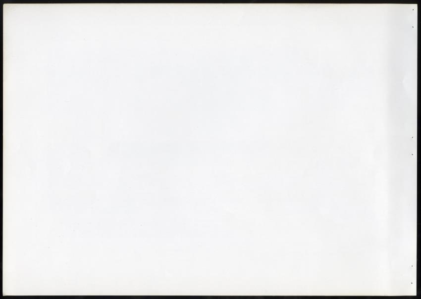 Z Masterplan - Nature Resort Rif St. Marie, Curacao - New Page