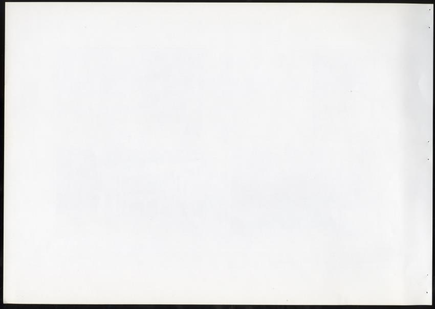 Z Masterplan - Nature Resort Rif St. Marie, Curacao - New Page