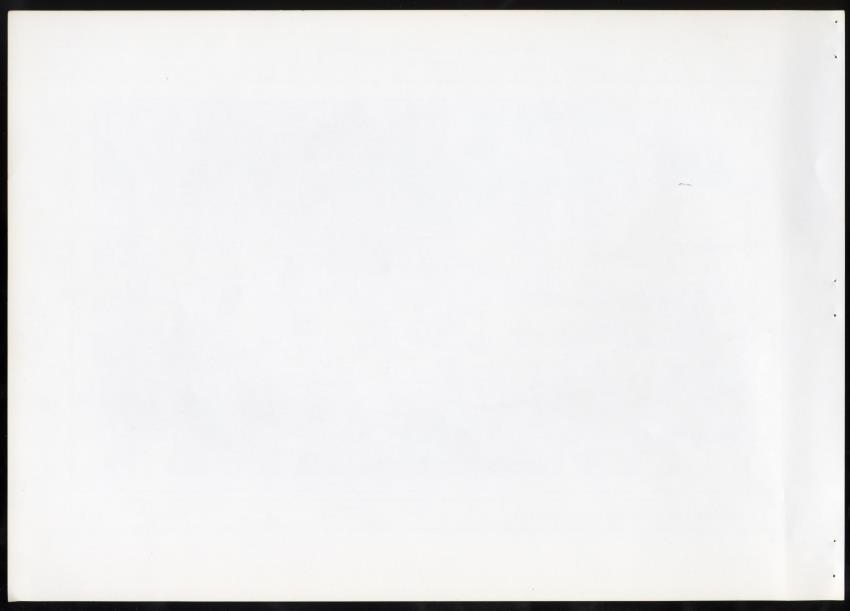 Z Masterplan - Nature Resort Rif St. Marie, Curacao - New Page