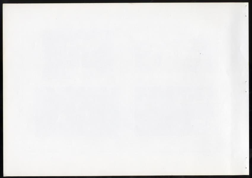 Z Masterplan - Nature Resort Rif St. Marie, Curacao - New Page