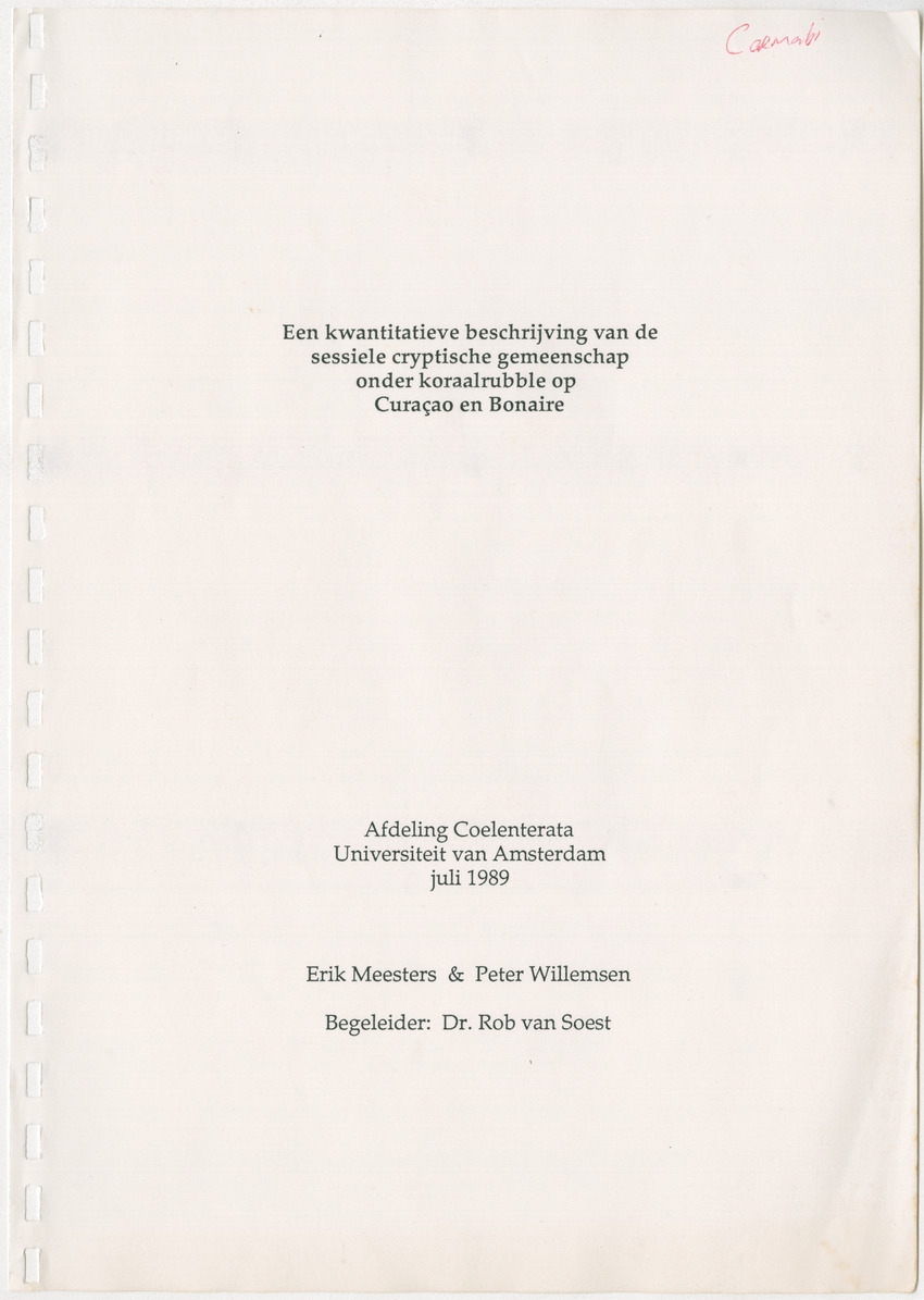 Een kwantitatieve beschrijving van de sessiele cryptische gemeenschap onder koraalrubble op Curaçao en Bonaire - New Page