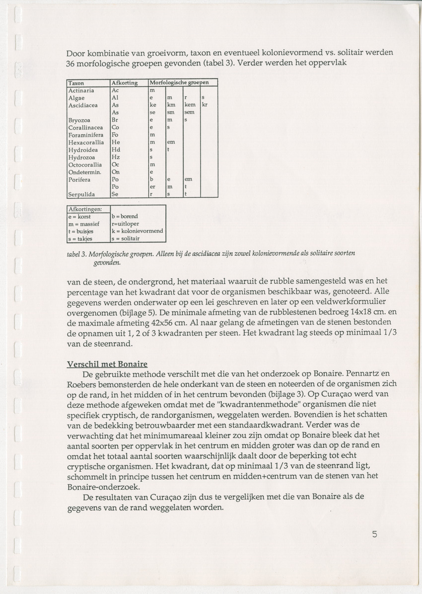 Een kwantitatieve beschrijving van de sessiele cryptische gemeenschap onder koraalrubble op Curaçao en Bonaire - New Page