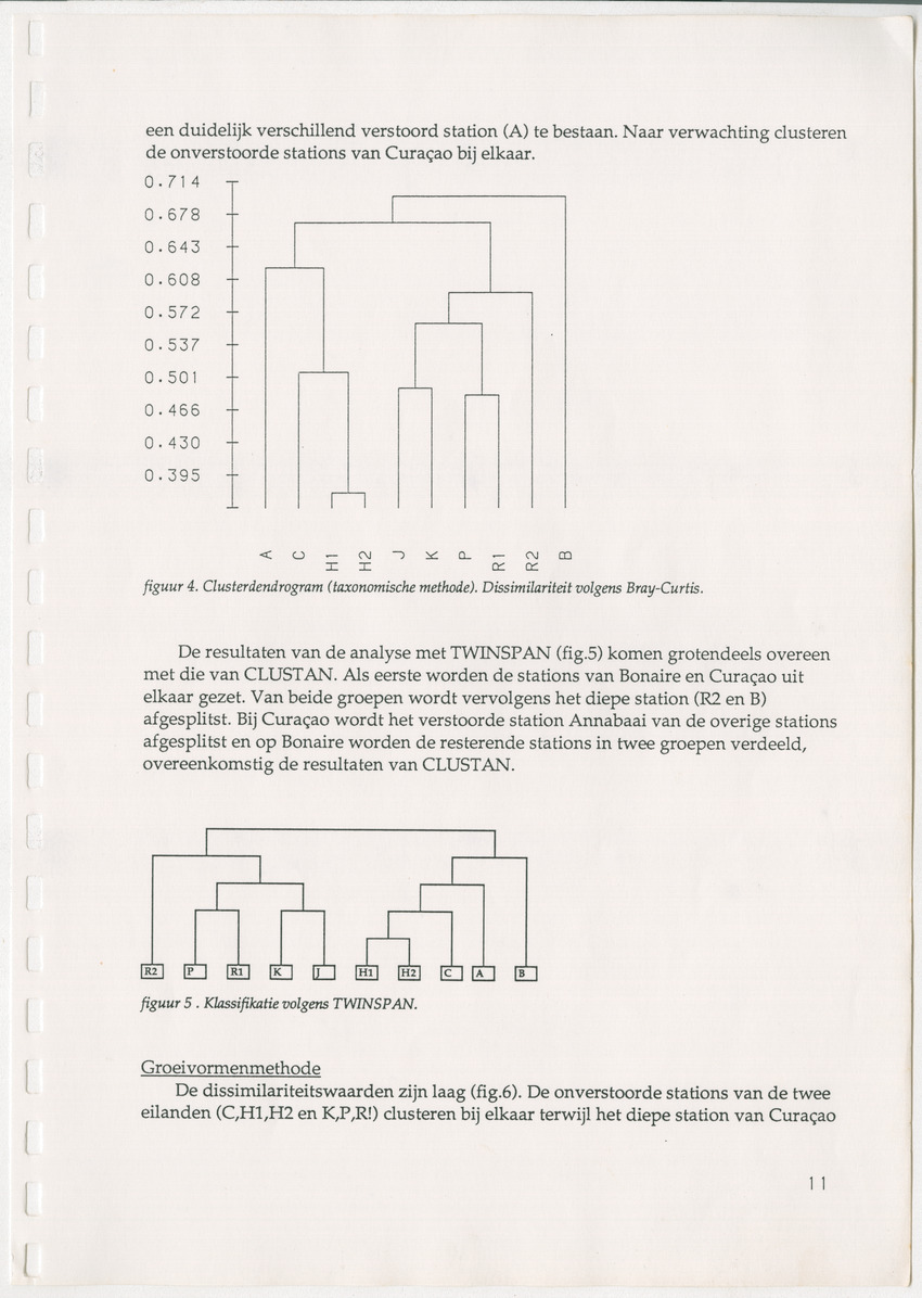 Een kwantitatieve beschrijving van de sessiele cryptische gemeenschap onder koraalrubble op Curaçao en Bonaire - New Page