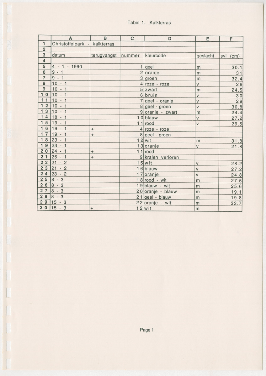 Een onderzoek naar de home-range, de grootte, het gewicht, sex ratio en populatiegrootte van de groene leguaan Iguana iguana (Linnaeus) in drie gebieden op Curaçao - New Page