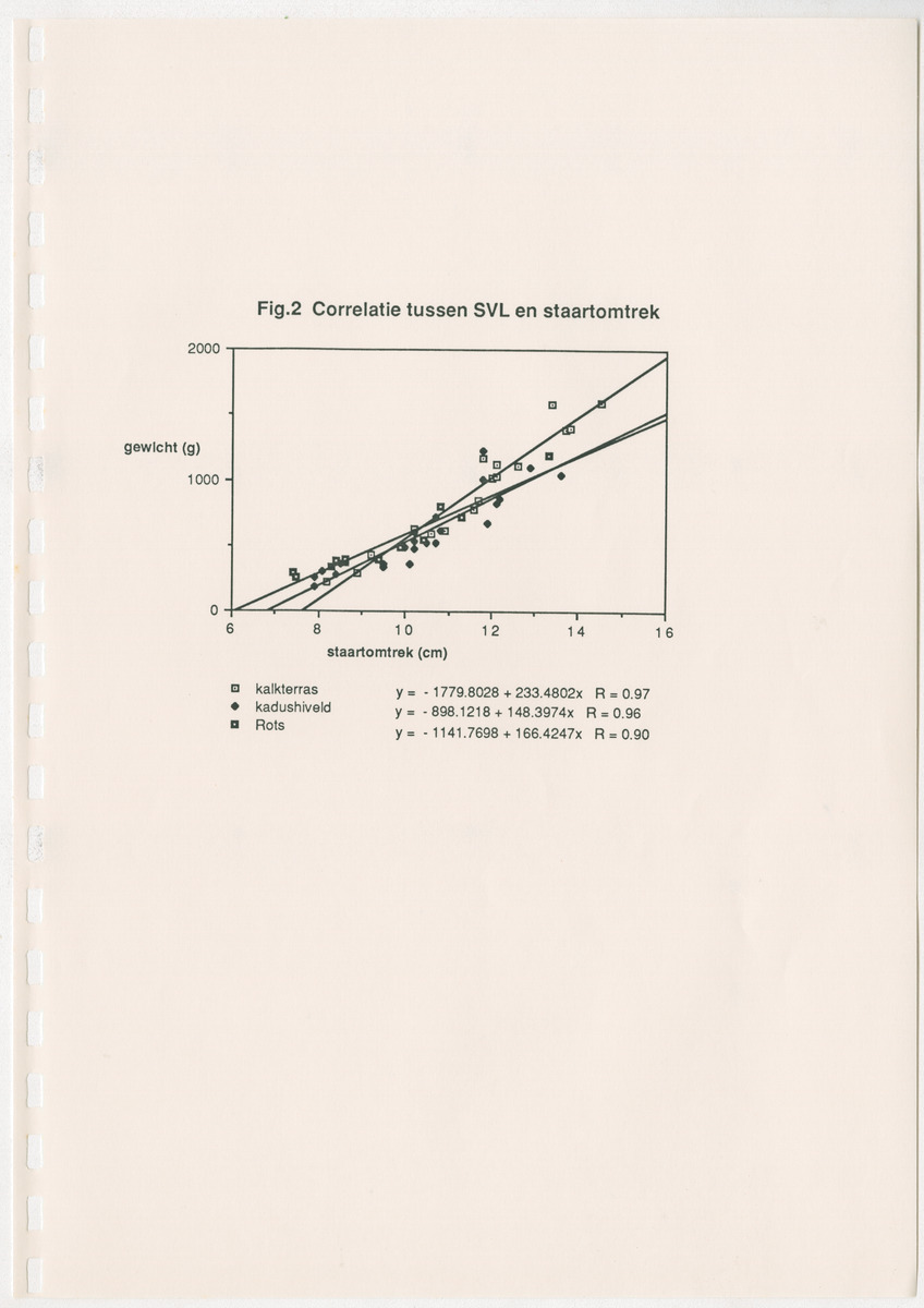 Een onderzoek naar de home-range, de grootte, het gewicht, sex ratio en populatiegrootte van de groene leguaan Iguana iguana (Linnaeus) in drie gebieden op Curaçao - New Page