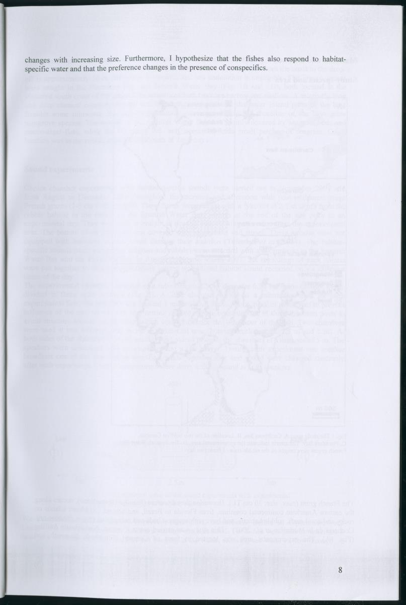 z Habitat selection of post-settlement stage French grunts (Haemulon flavolineatum) - auditory , chemical, and visual cues - New Page