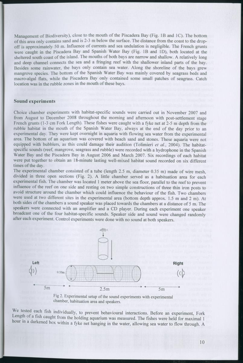 z Habitat selection of post-settlement stage French grunts (Haemulon flavolineatum) - auditory , chemical, and visual cues - New Page