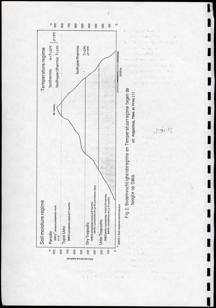 Ecologische en populatiedynamische waarnemingen aan de landcrab Gecarcinus ruricola (Latreille) op Saba & Een simulatiemodel voor de geëxploiteerde populatie - New Page