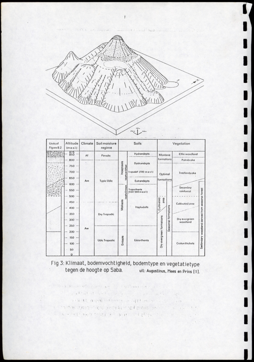 Ecologische en populatiedynamische waarnemingen aan de landcrab Gecarcinus ruricola (Latreille) op Saba & Een simulatiemodel voor de geëxploiteerde populatie - New Page