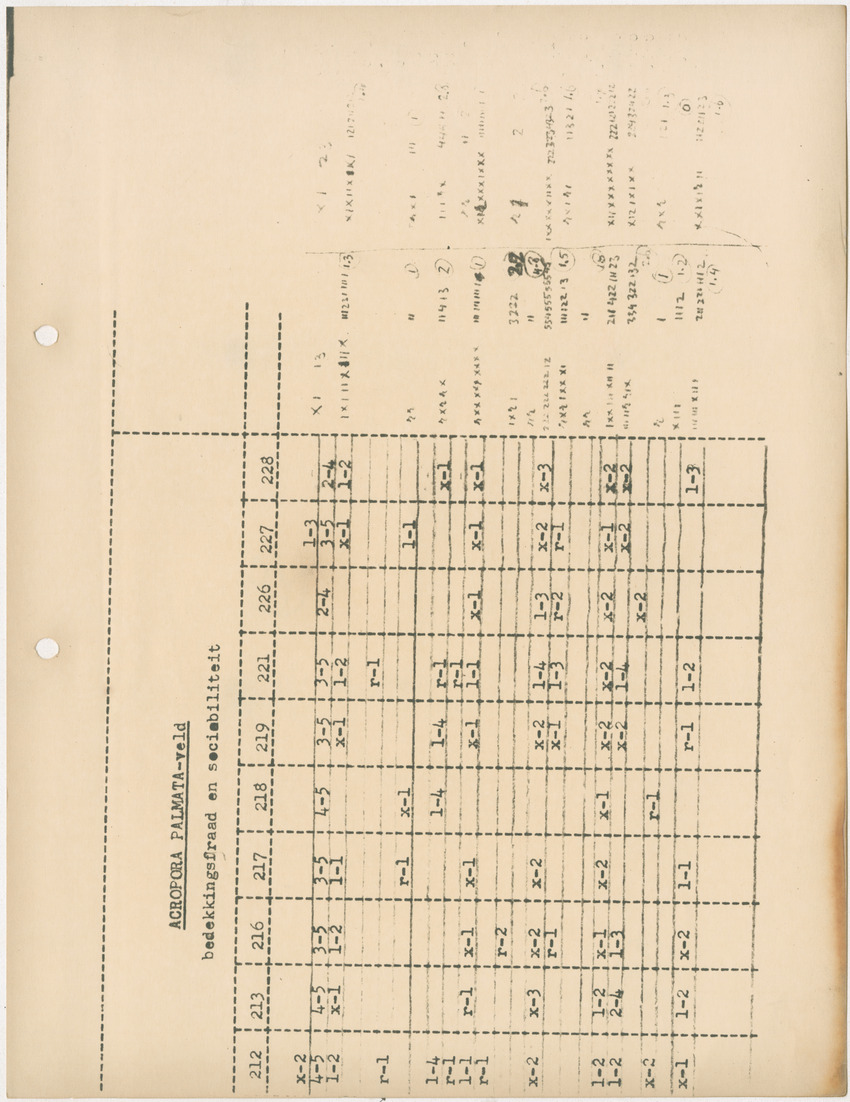 Voorlopig verslag van doctorale studie van W. Nagelkerken over de verschillen tussen Acroporetum-Milleporetum - New Page