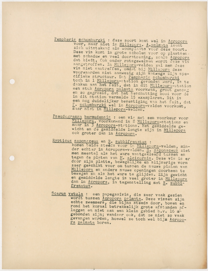 Voorlopig verslag van doctorale studie van W. Nagelkerken over de verschillen tussen Acroporetum-Milleporetum - New Page