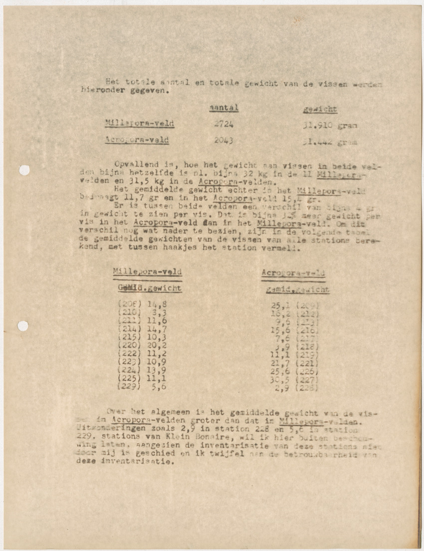 Voorlopig verslag van doctorale studie van W. Nagelkerken over de verschillen tussen Acroporetum-Milleporetum - New Page