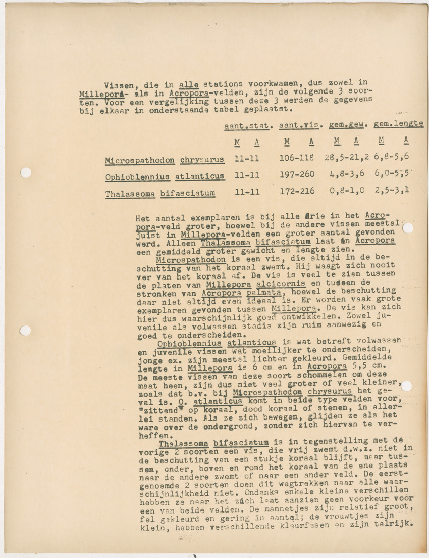 Voorlopig verslag van doctorale studie van W. Nagelkerken over de verschillen tussen Acroporetum-Milleporetum - New Page