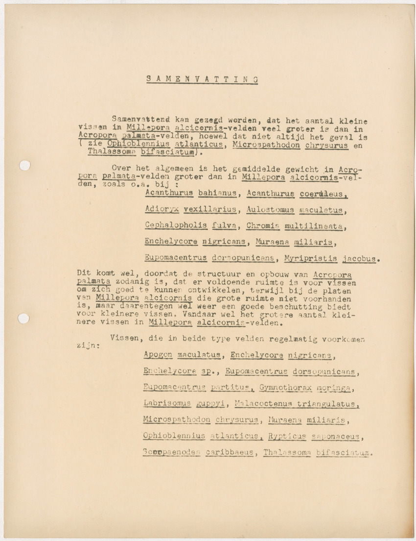 Voorlopig verslag van doctorale studie van W. Nagelkerken over de verschillen tussen Acroporetum-Milleporetum - New Page