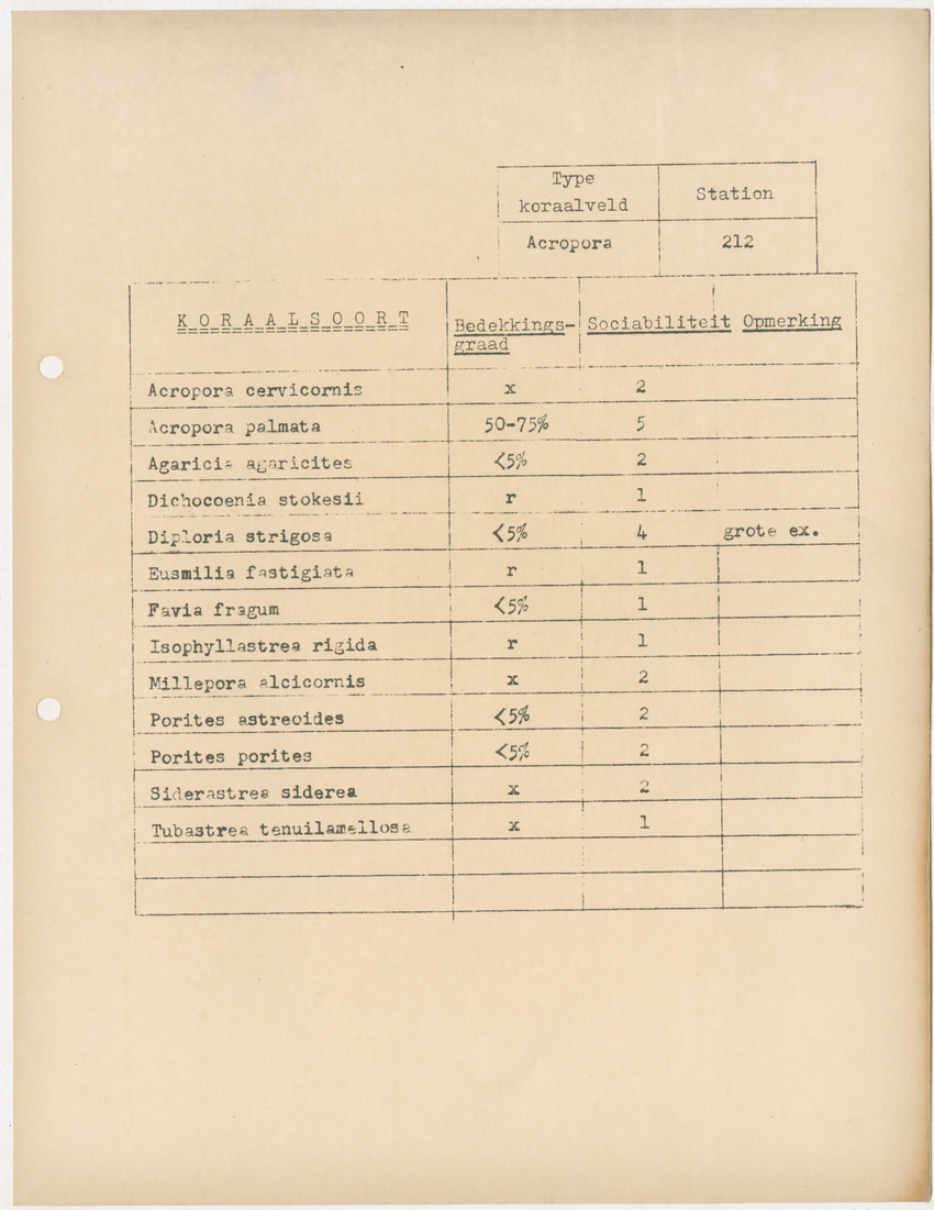 Voorlopig verslag van doctorale studie van W. Nagelkerken over de verschillen tussen Acroporetum-Milleporetum - New Page