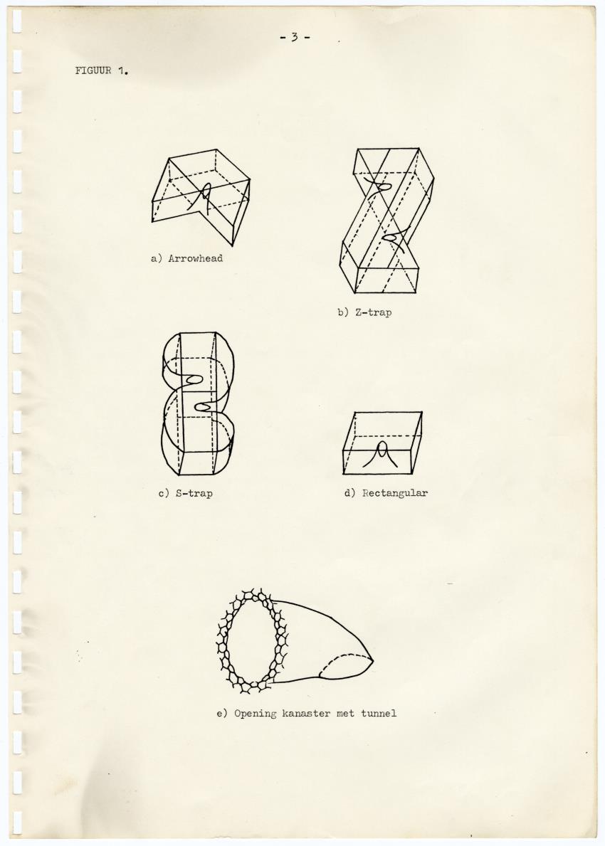 Kanastervisserij en koraalrifbeheer op Bonaire, Nederlandse Antillen - New Page