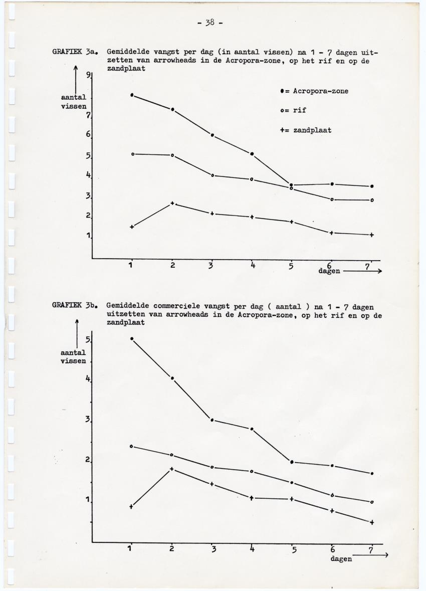 Kanastervisserij en koraalrifbeheer op Bonaire, Nederlandse Antillen - New Page