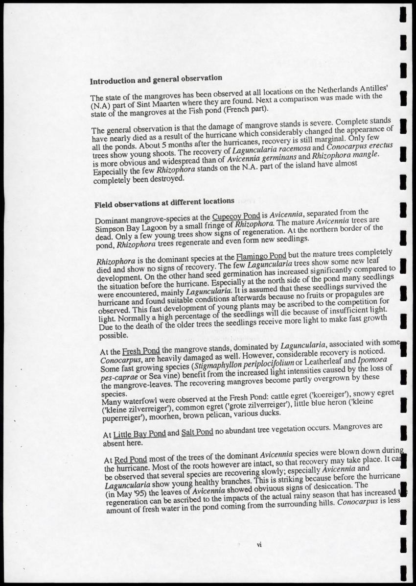 The Ponds of Sint-Maarten - Sustainable Development and Management - New Page