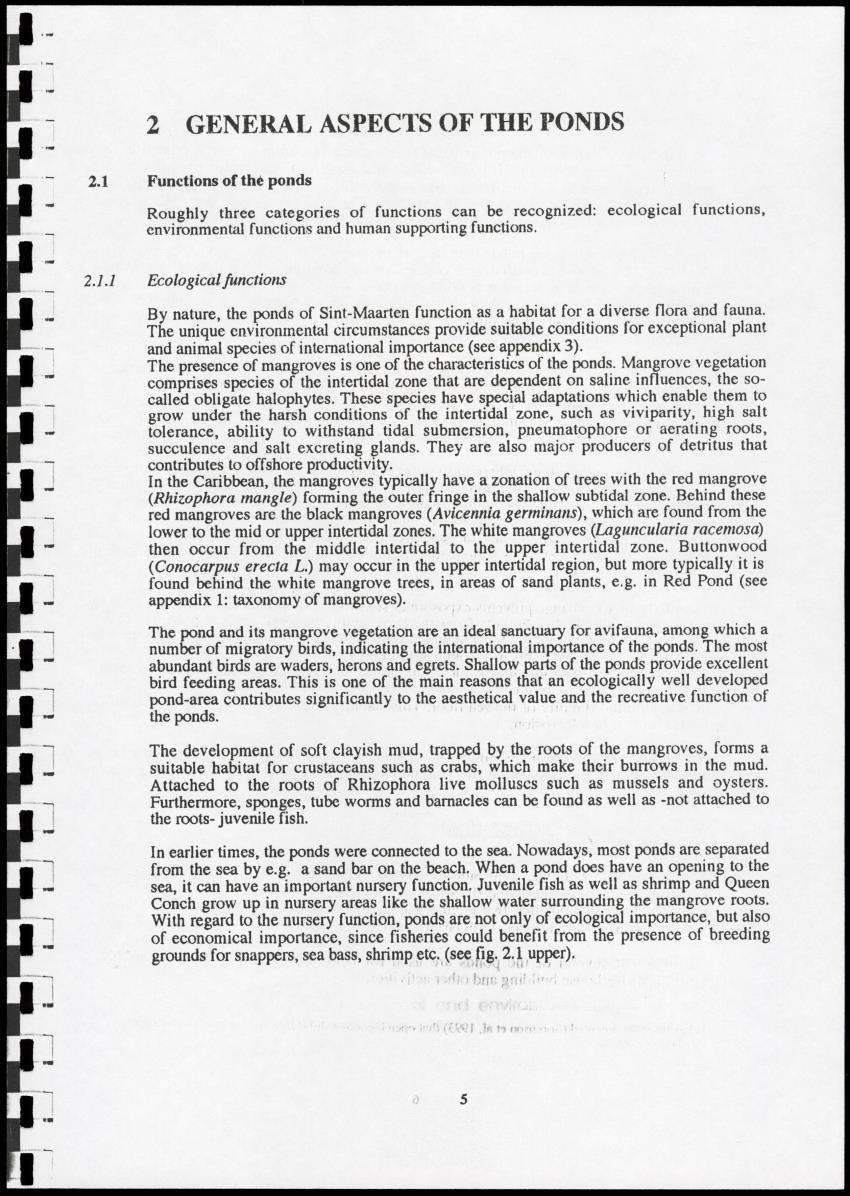 The Ponds of Sint-Maarten - Sustainable Development and Management - New Page