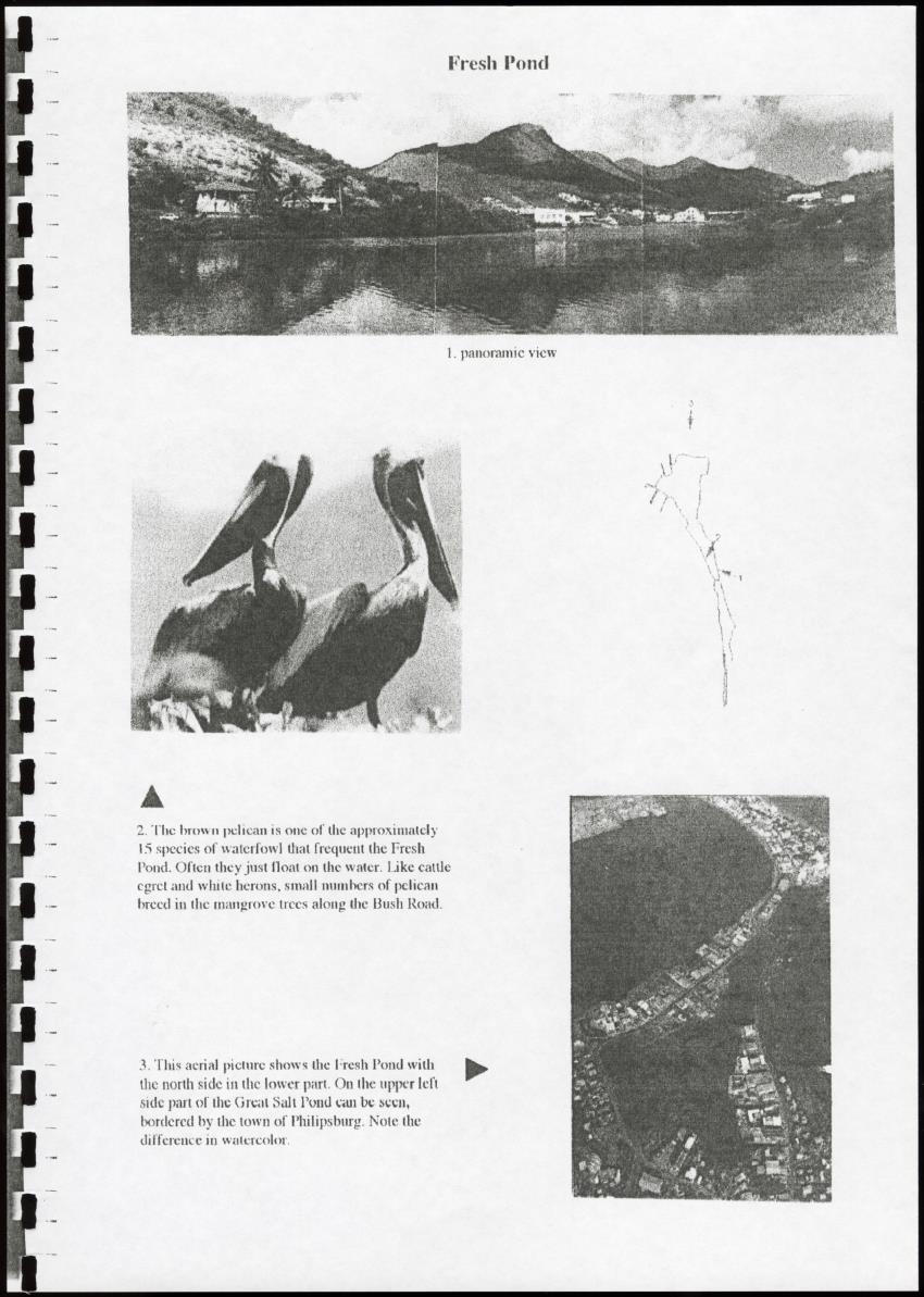 The Ponds of Sint-Maarten - Sustainable Development and Management - New Page