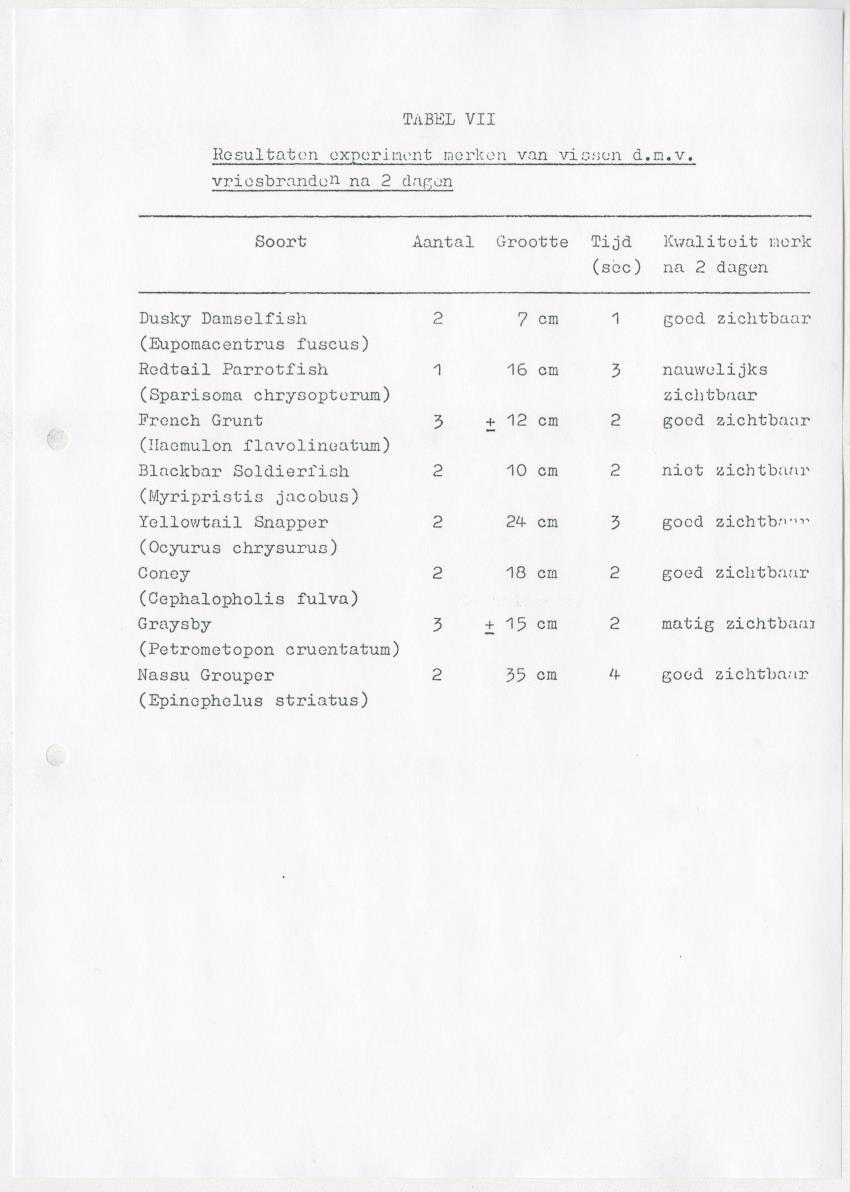 De invloed van speervisserij en aquariumvisvangst op de visfauna van het koraalrif op Curacao - New Page