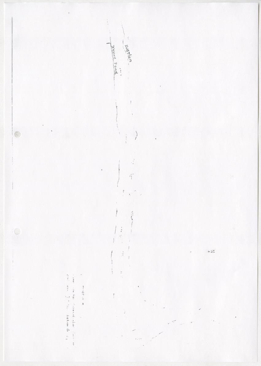 De invloed van speervisserij en aquariumvisvangst op de visfauna van het koraalrif op Curacao - New Page