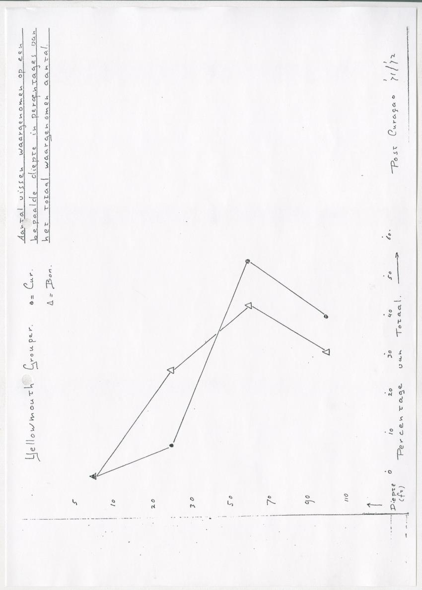 De invloed van speervisserij en aquariumvisvangst op de visfauna van het koraalrif op Curacao - New Page