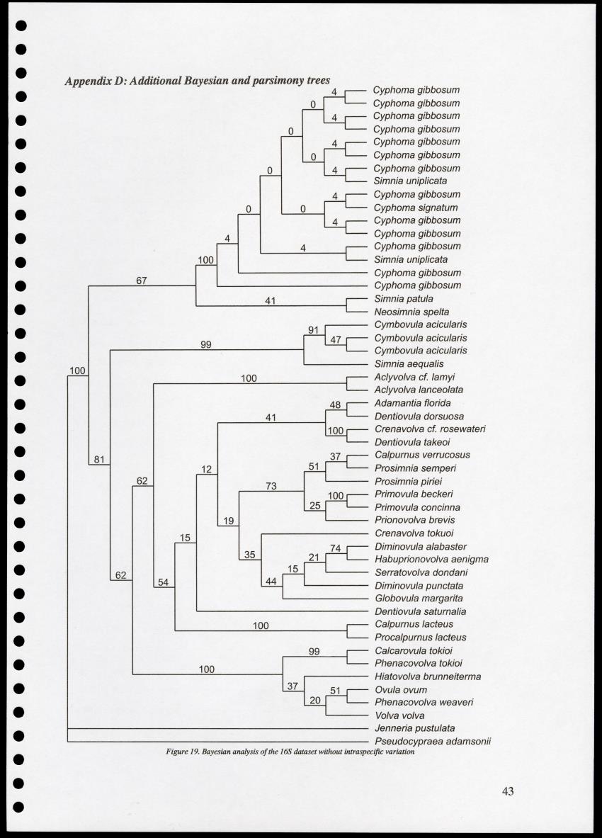 Z Proceedings - Integrated Coastal Zone Management Seminar - New Page