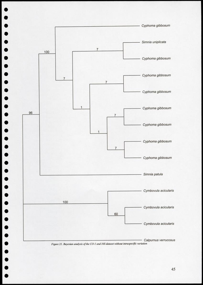 Z Proceedings - Integrated Coastal Zone Management Seminar - New Page