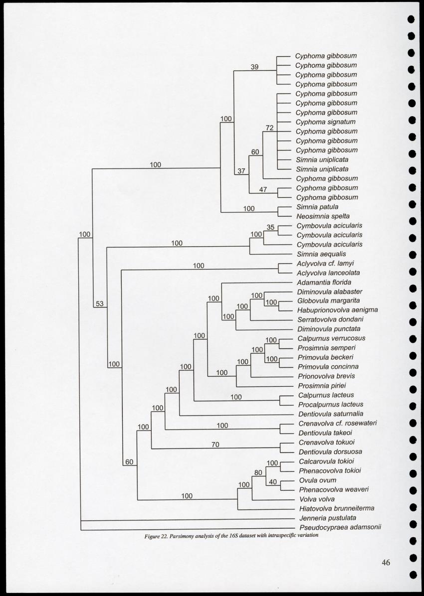 Z Proceedings - Integrated Coastal Zone Management Seminar - New Page
