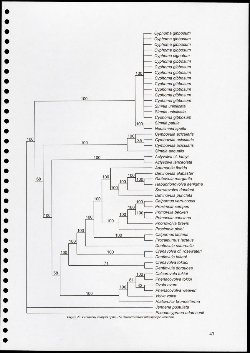 Z Proceedings - Integrated Coastal Zone Management Seminar - New Page