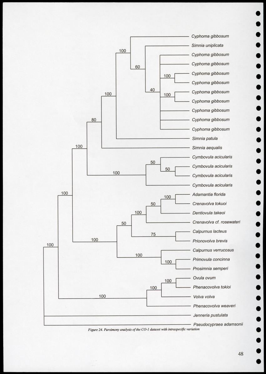 Z Proceedings - Integrated Coastal Zone Management Seminar - New Page