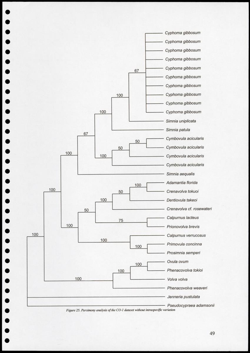 Z Proceedings - Integrated Coastal Zone Management Seminar - New Page