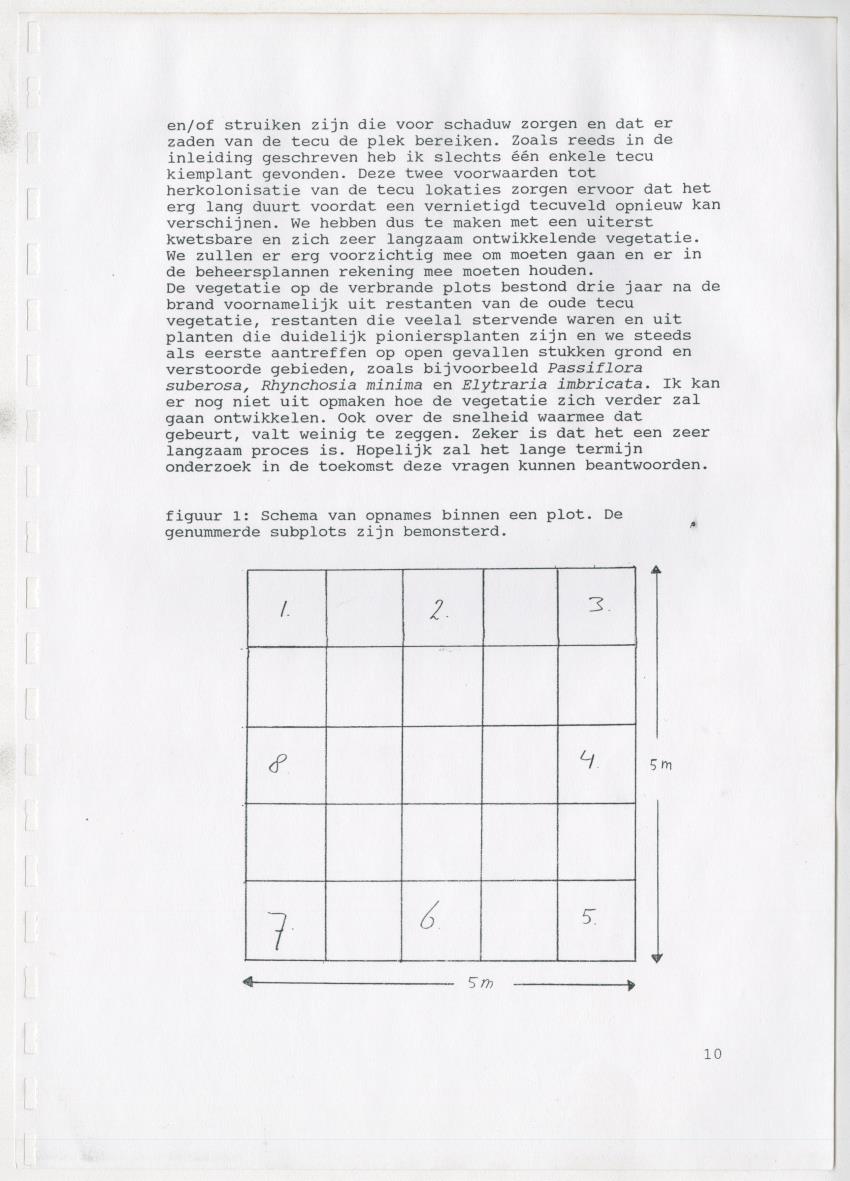 Z De flora en vegetatie van Curaçao : verslag van een stage natuurbeheer bij het Carmabi, Curaçao - New Page