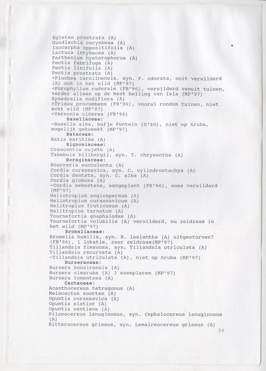 Z De flora en vegetatie van Curaçao : verslag van een stage natuurbeheer bij het Carmabi, Curaçao - New Page