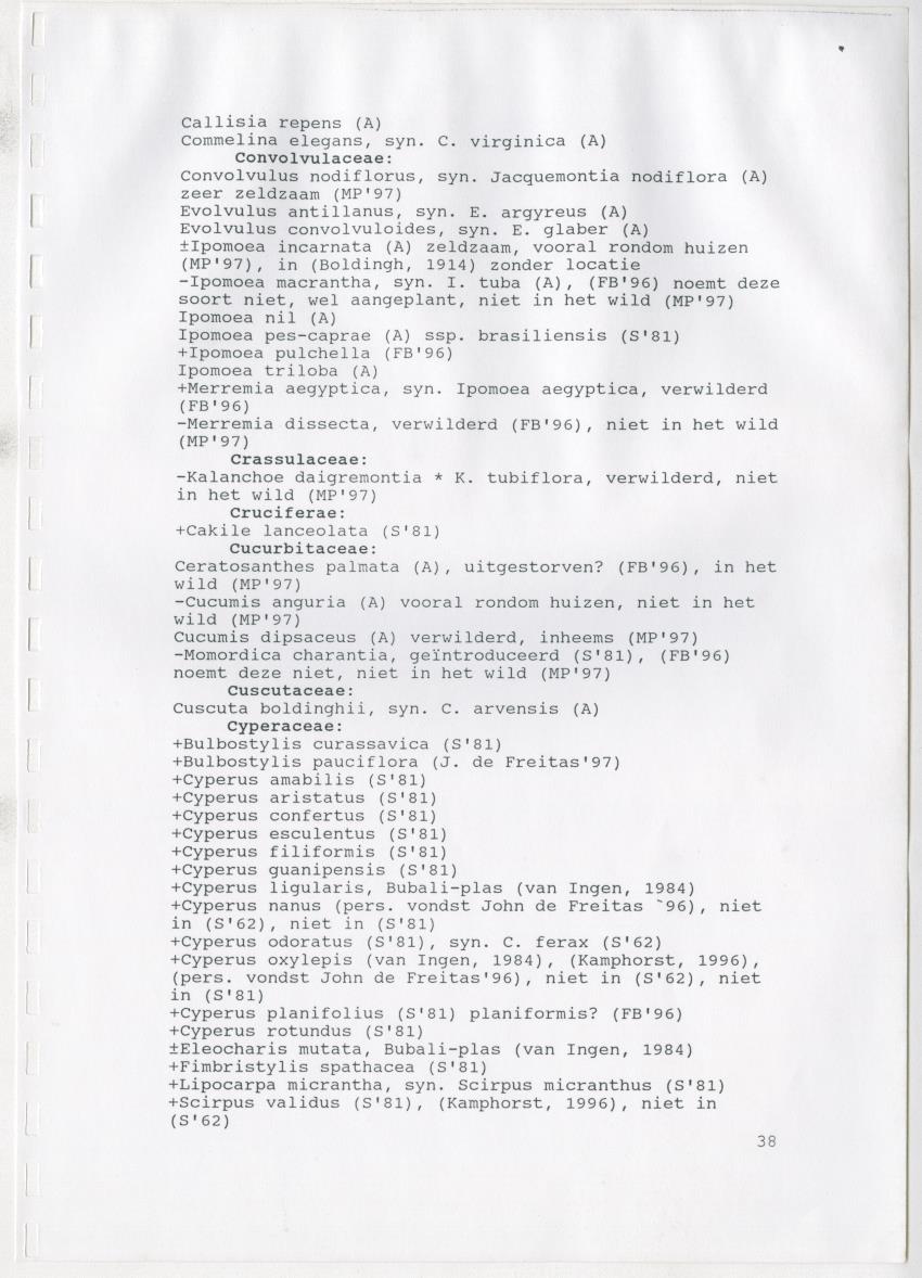 Z De flora en vegetatie van Curaçao : verslag van een stage natuurbeheer bij het Carmabi, Curaçao - New Page