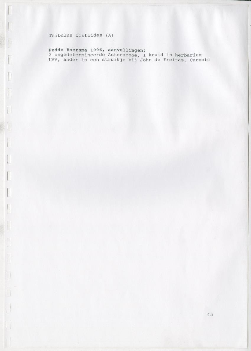 Z De flora en vegetatie van Curaçao : verslag van een stage natuurbeheer bij het Carmabi, Curaçao - New Page