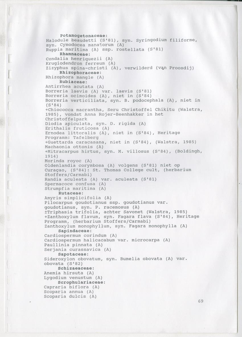 Z De flora en vegetatie van Curaçao : verslag van een stage natuurbeheer bij het Carmabi, Curaçao - New Page