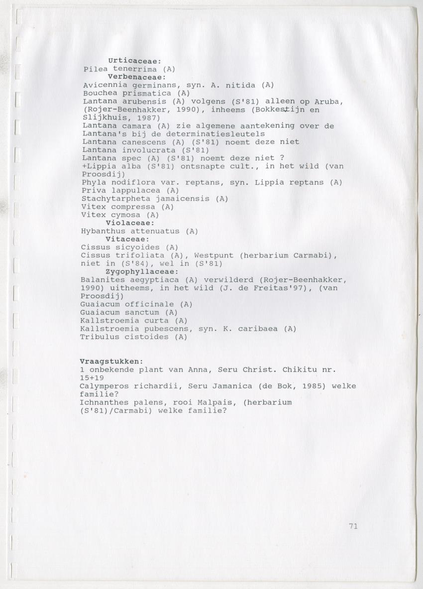 Z De flora en vegetatie van Curaçao : verslag van een stage natuurbeheer bij het Carmabi, Curaçao - New Page