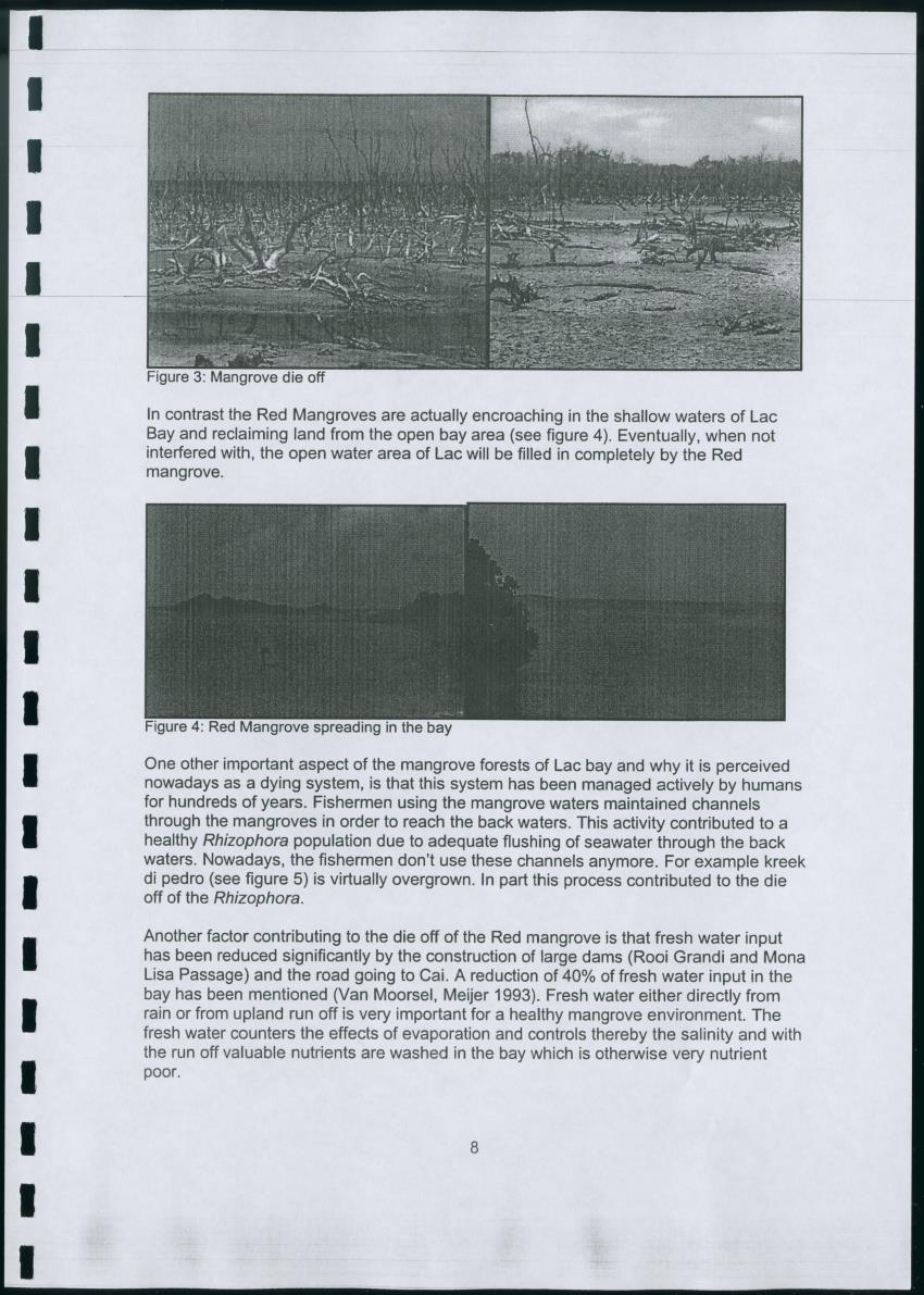 Z Lac Bay Management Plan - 2003 - Draft - New Page