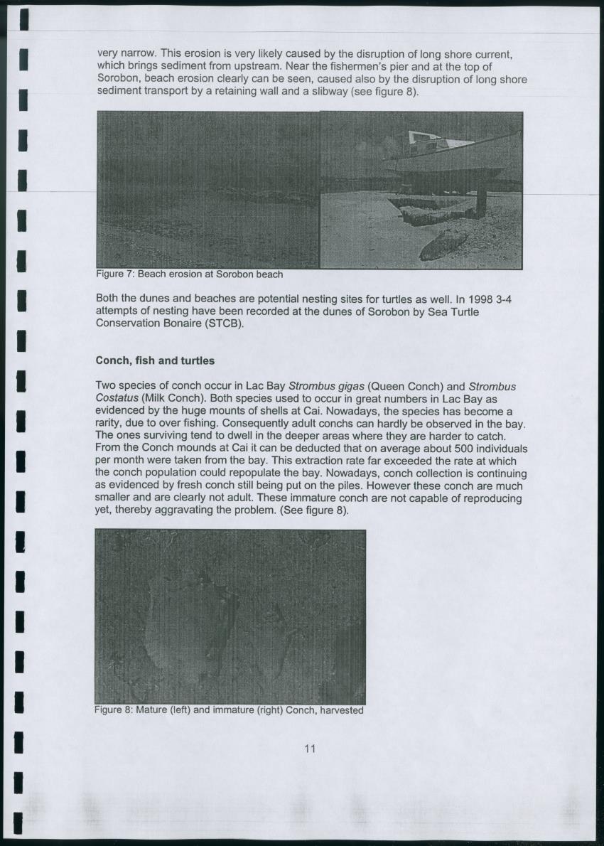 Z Lac Bay Management Plan - 2003 - Draft - New Page